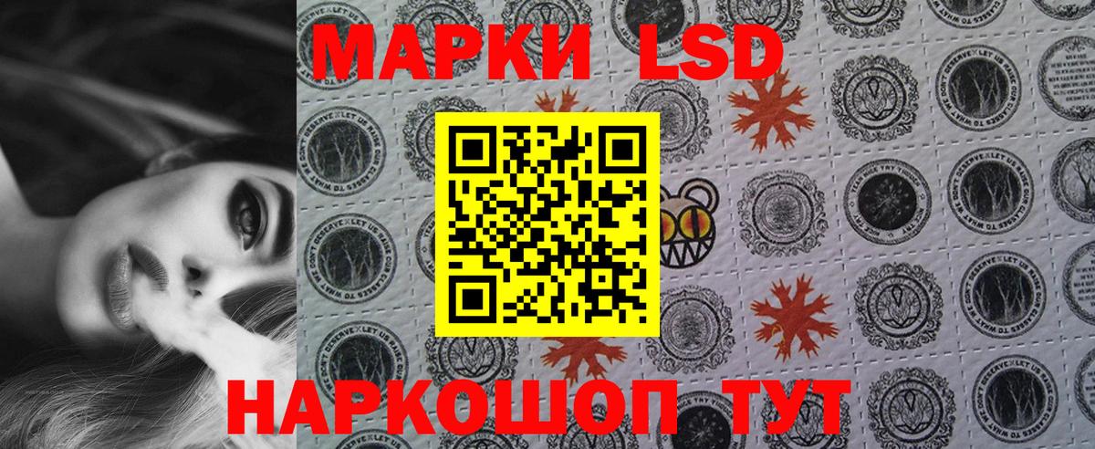 хочу наркоту  Наркотические марки 1500мкг  Шадринск  Вход с VPN  Наркотические марки 1500мкг 