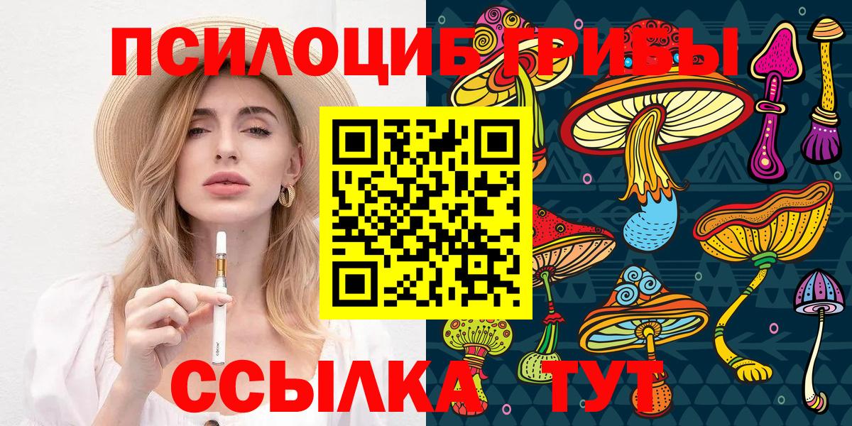 Псилоцибиновые грибы MAGIC MUSHROOMS  Вход с VPN  купить наркотик  Шадринск 